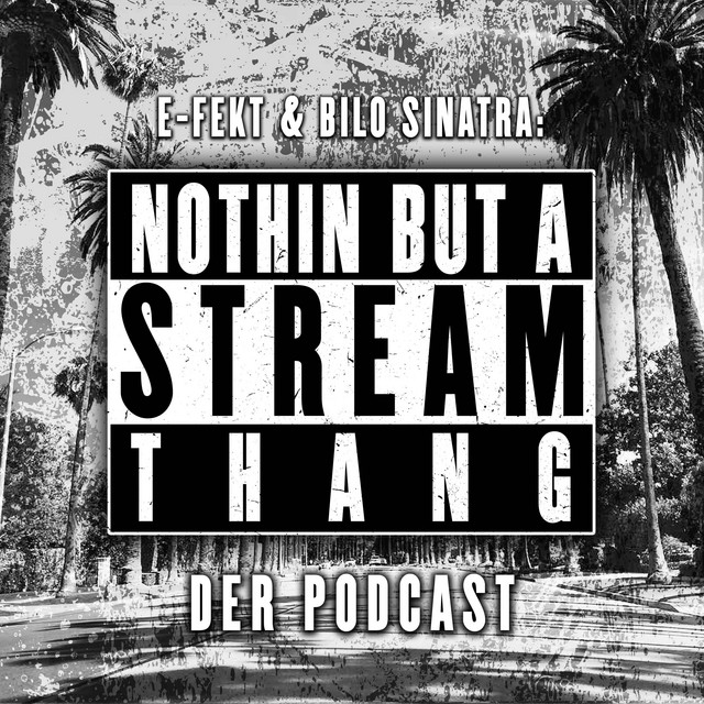 NOTHIN BUT A STREAM THANG